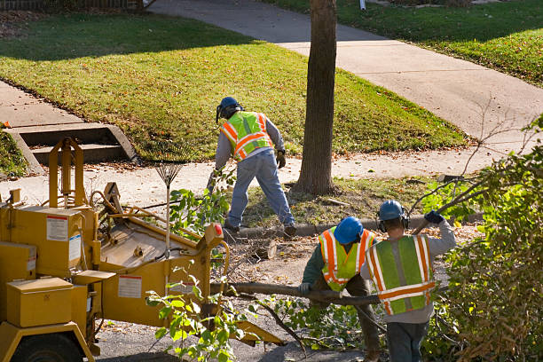 Best Lawn Irrigation Installation and Maintenance  in Whippany, NJ